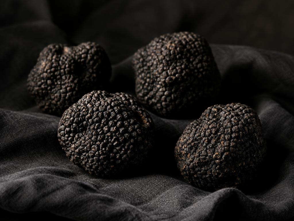 Whole fresh black winter truffles resting on dark linen